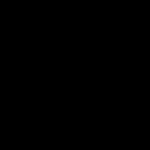 Meet your Posher, Makayla